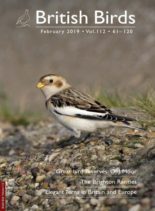 British Birds – February 2019