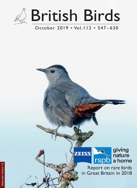 British Birds – October 2019
