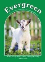 Evergreen – March 2020