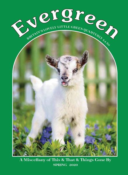 Evergreen – March 2020