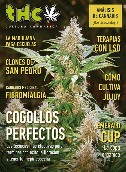 Revista THC – febrero 2020