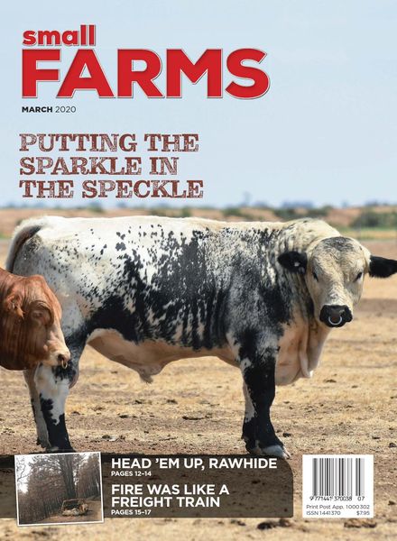 Small Farms – March 2020
