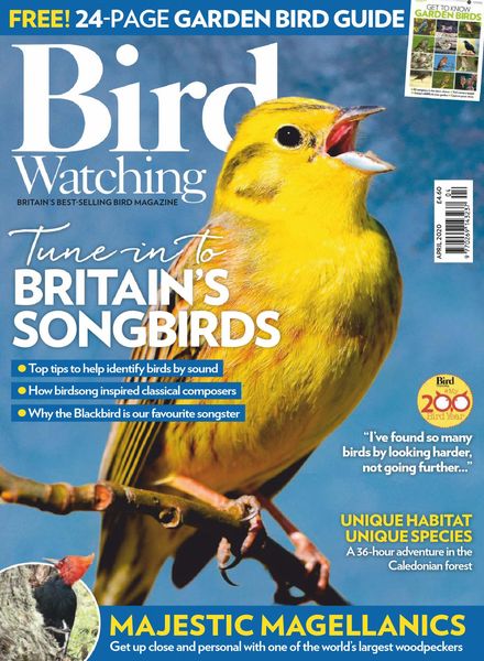 Bird Watching UK – April 2020