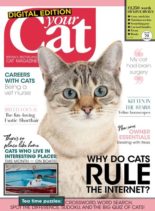 Your Cat – April 2020