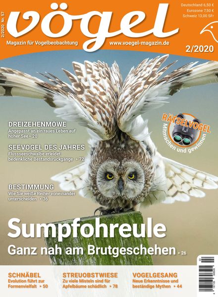 Vogel – Februar 2020