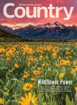 Country – April-May 2020