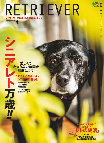 Retriever – 2020-03-01