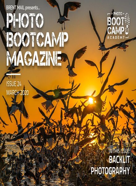 Photo BootCamp – March 2020