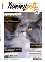 YummyPets – Janvier-Mars 2020