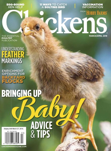 Chickens – March-April 2018