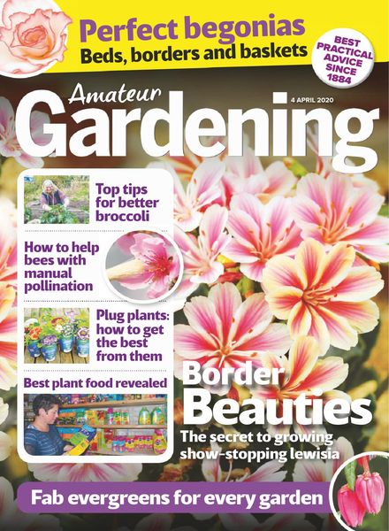Amateur Gardening – 04 April 2020