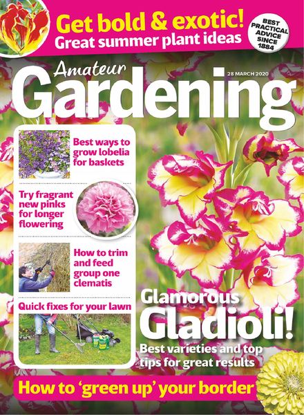 Amateur Gardening – 28 March 2020