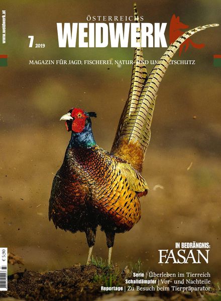 Weidwerk – Juli 2019