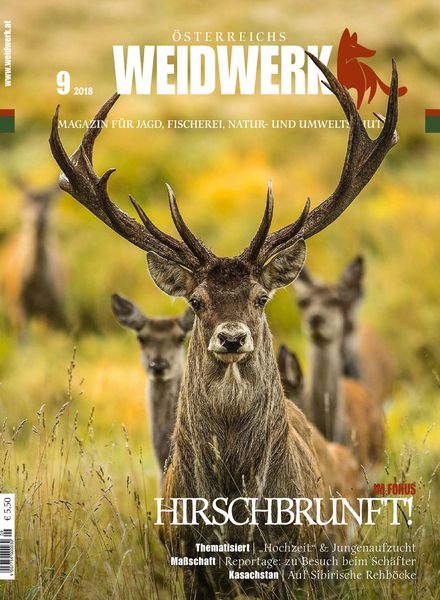 Weidwerk – September 2018