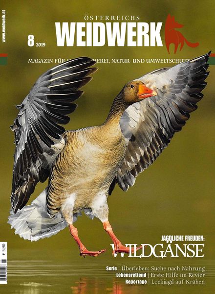 Weidwerk – August 2019
