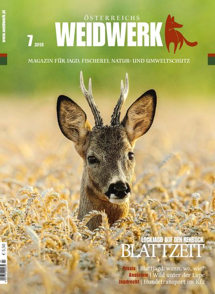 Weidwerk – Juli 2018