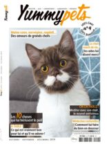 YummyPets – Octobre-Decembre 2019