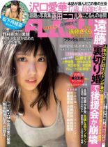 Flash – 31 March-7 April 2020