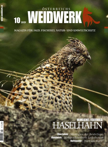 Weidwerk – Oktober 2019
