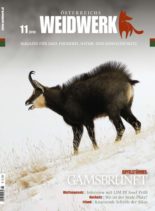 Weidwerk – November 2018