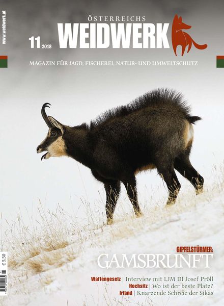 Weidwerk – November 2018