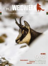 Weidwerk – November 2019