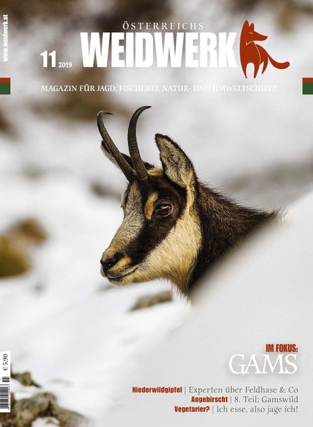 Weidwerk – November 2019