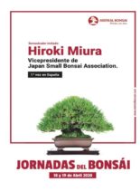 Bonsai Pasion – abril 2020