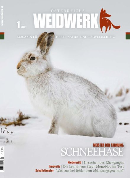 Weidwerk – Januar 2019
