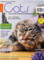 Our Cats – Mai 2020