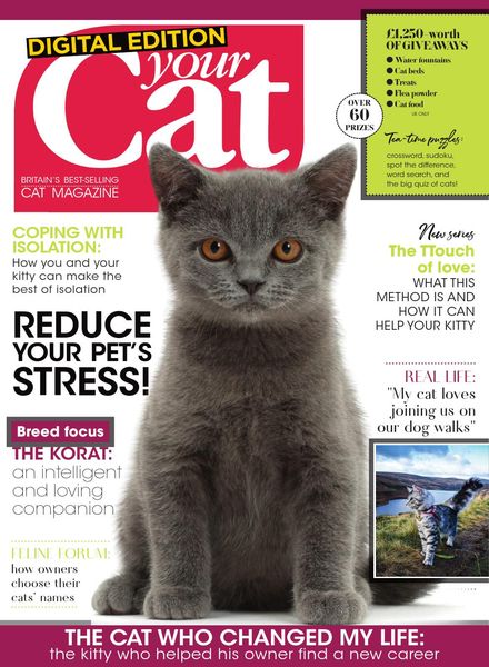 Your Cat – May 2020
