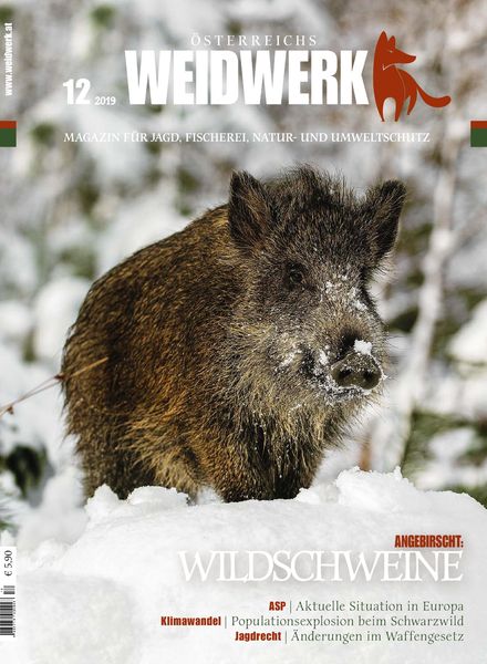 Weidwerk – Dezember 2019