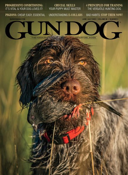 Gun Dog – June 2020