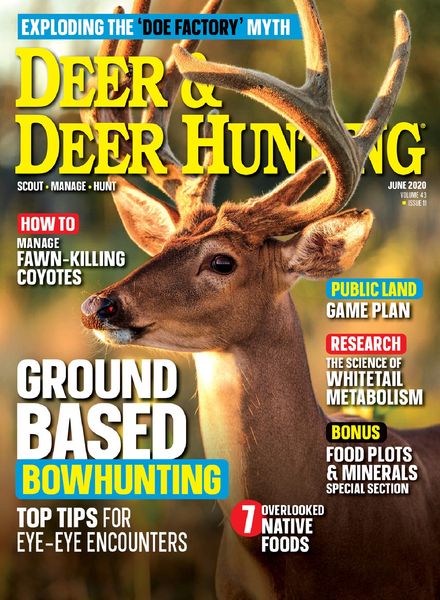 Deer & Deer Hunting – June 2020