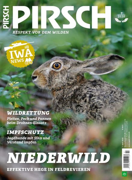 Pirsch – 24 Marz 2020