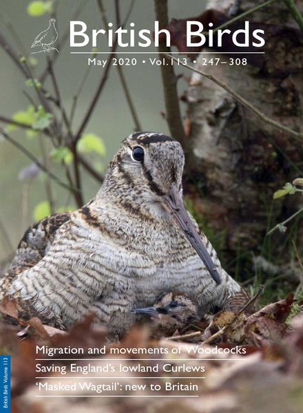 British Birds – May 2020