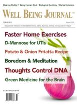 Well Being Journal – Summer 2020