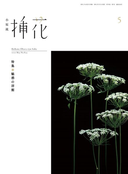 eBooks – 2020-05-01