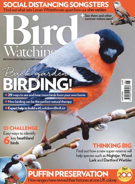 Bird Watching UK – June 2020