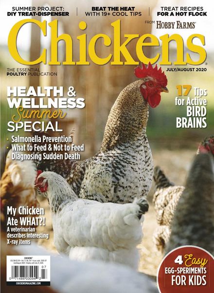 Chickens – July-August 2020