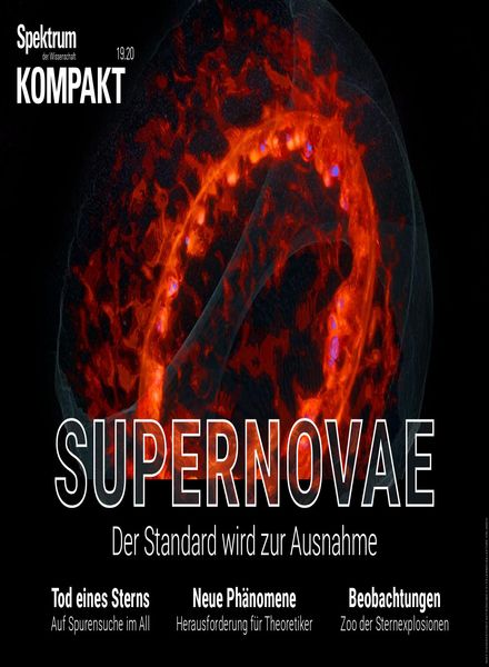 Spektrum Kompakt – 11 Mai 2020