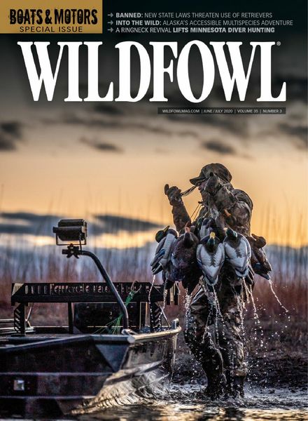 Wildfowl – June 2020
