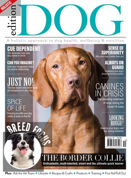 Edition Dog – Issue 19 – May 2020