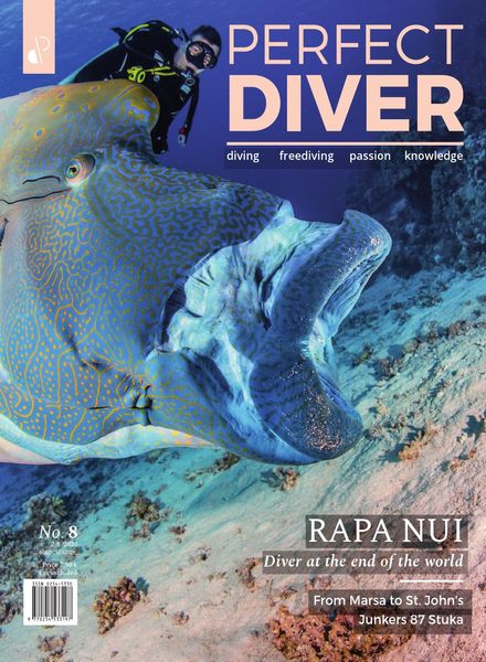 Perfect Diver – March-April 2020
