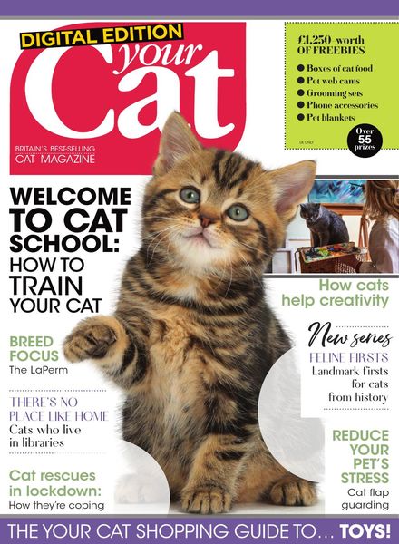 Your Cat – June 2020