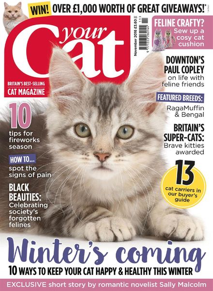 Your Cat – November 2016