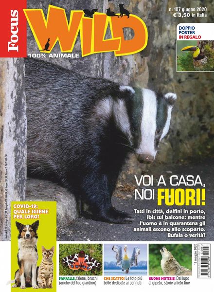 Focus Wild – giugno 2020