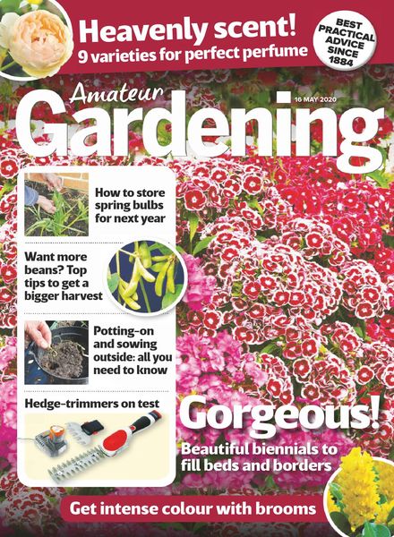 Amateur Gardening – 16 May 2020