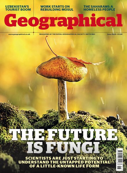 Geographical – June 2020