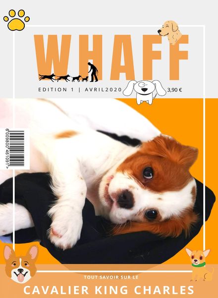 Whaff – Avril 2020